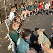 What a lovely springtime visit - Mrs Walsh’s Class 🐑