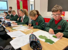 Miss G’s P7 Class: Leaf Identification and Rubbings