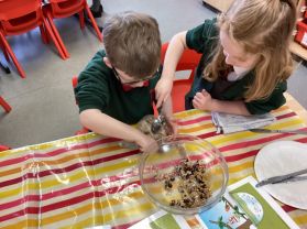 Making Bird Seed Cake to Feed the Birds in Winter 
