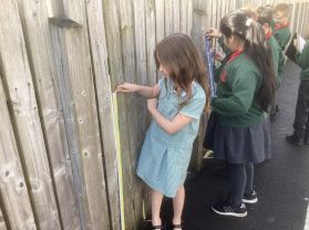 Y5 Rm18 Practical Perimeter