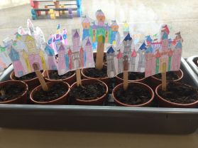 Planting Seeds